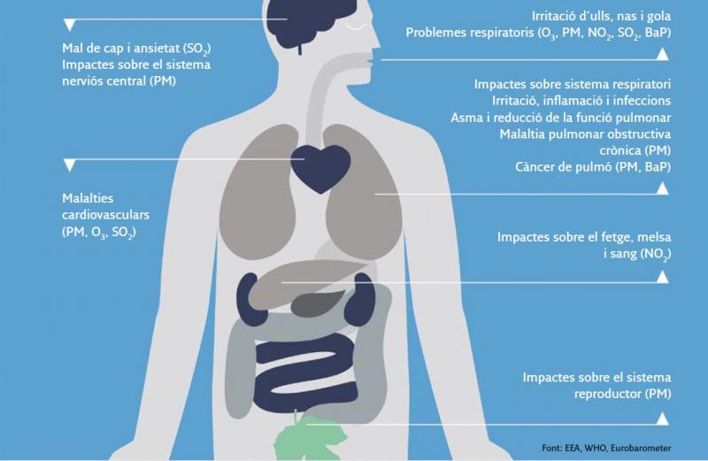 Infografía sobre los efectos de la contaminación atmosférica sobre la salud. Fuente: Plan de actuación para la mejora de la calidad del aire, horizonte 2020. Generalitat de Catalunya Infografía sobre los efectos de la contaminación atmosférica sobre la salud. Fuente: Plan de actuación para la mejora de la calidad del aire, horizonte 2020. Generalitat de Catalunya