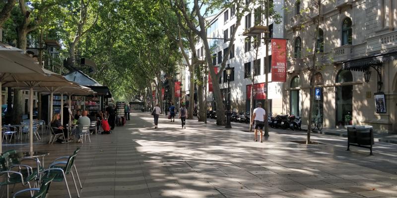 Rambles de Barcelona. David Rodríguez Rambles de Barcelona