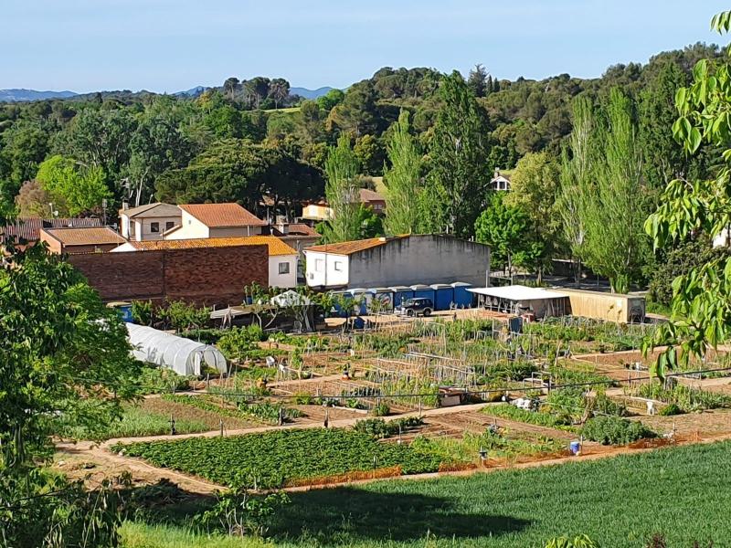 Hort i resiliència Hort i resiliència