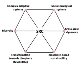 Pensament sistèmic i resiliència SRC Pensament sistèmic i resiliència SRC