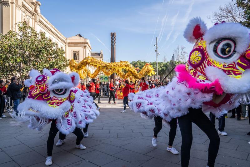 Any nou xines Any nou xines