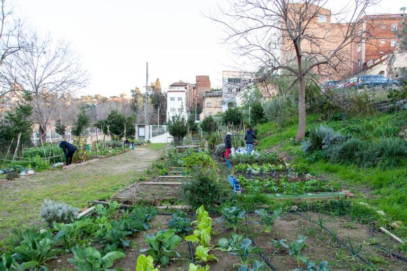 Curro Palacios huertos urbanos