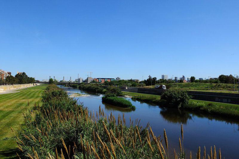 Hi ha hagut una desconnexió de la natura