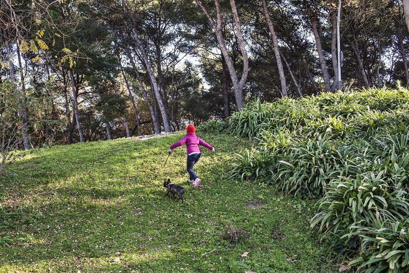 Infraestructura verda